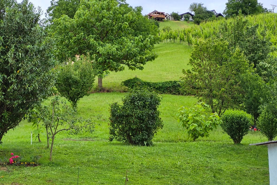 Zemljišče, Lendava/Lendva