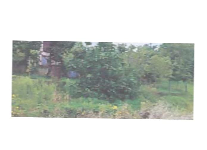 Zemljišče, Slovenska Bistrica