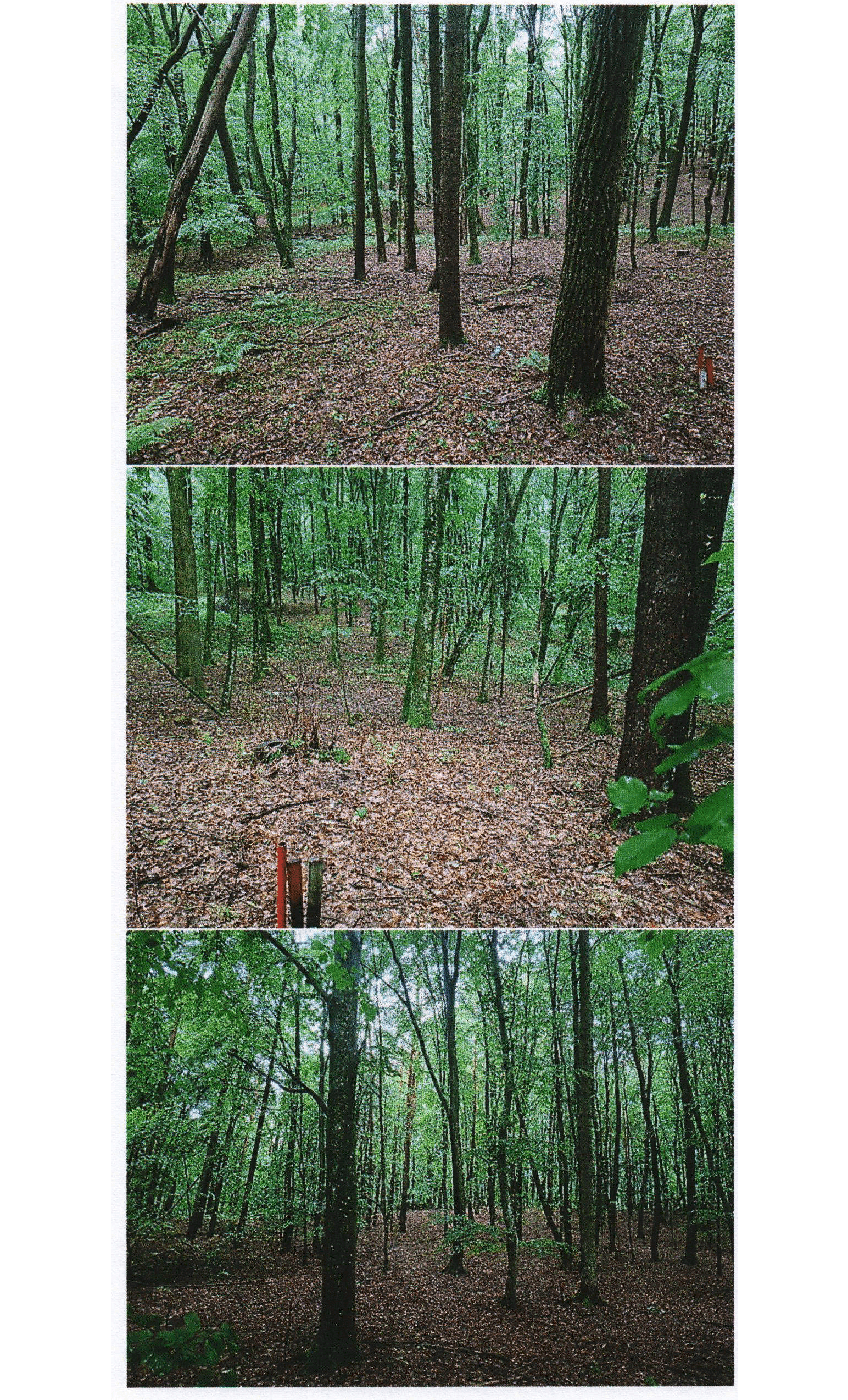 Zemljišče, Grad