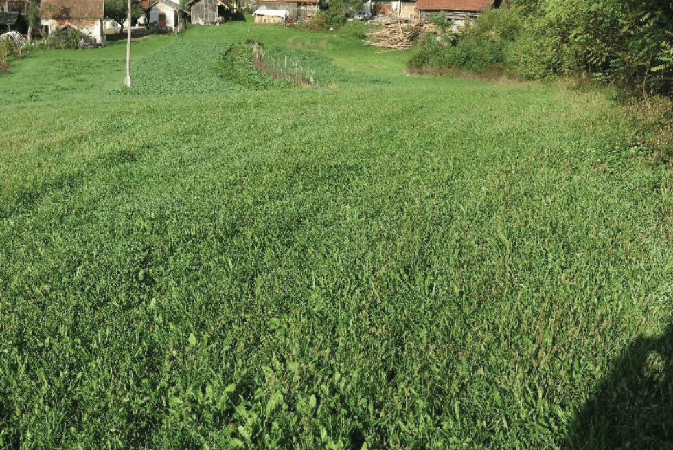 Zemljišče, Vinica