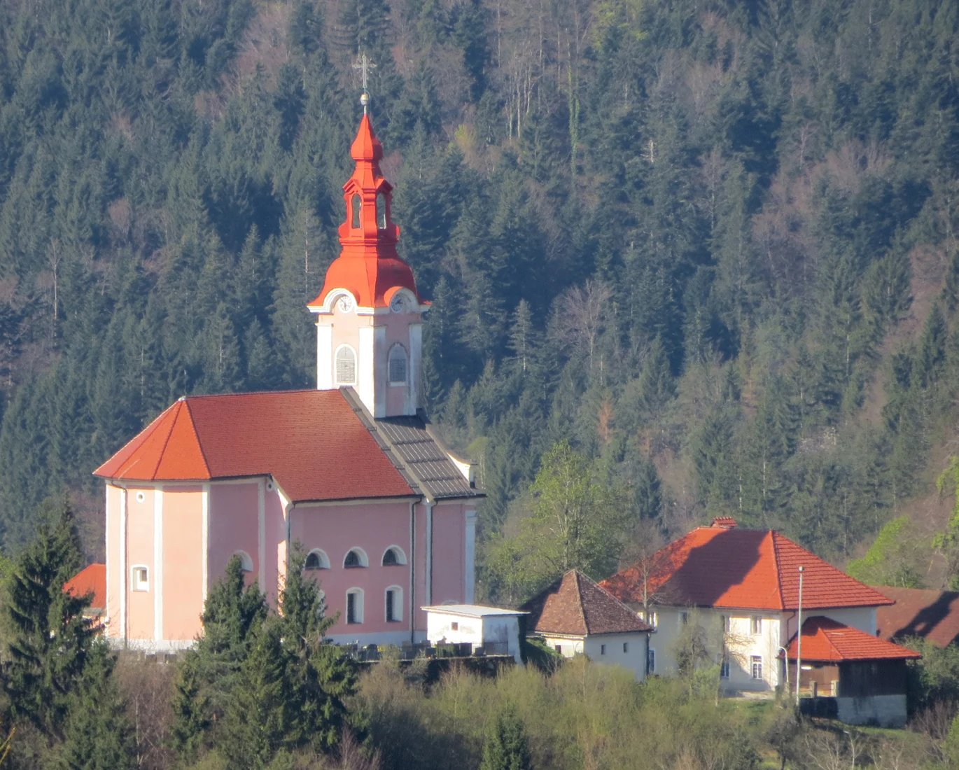 Cerkev Marijinega rojstva v Robu z rožnato fasado in zvonikom z rdečim strešnim zaključkom pred gozdom.